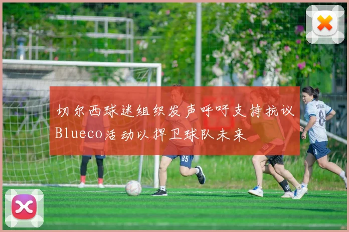 切尔西球迷组织发声呼吁支持抗议Blueco活动以捍卫球队未来