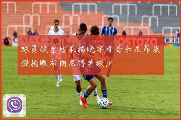 球员投票结果揭晓字母哥和尼昂表现抢眼布朗尼得票较少