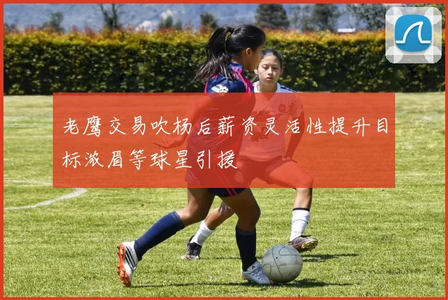 老鹰交易吹杨后薪资灵活性提升目标浓眉等球星引援